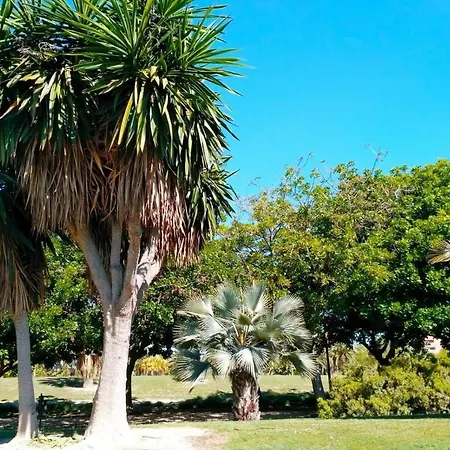 Boliche Playa San Juan Аликанте