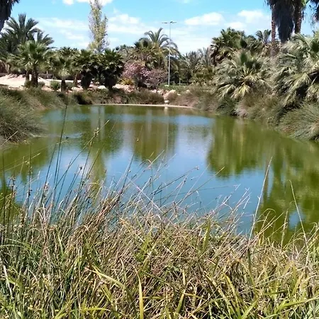 Boliche Playa San Juan Аликанте